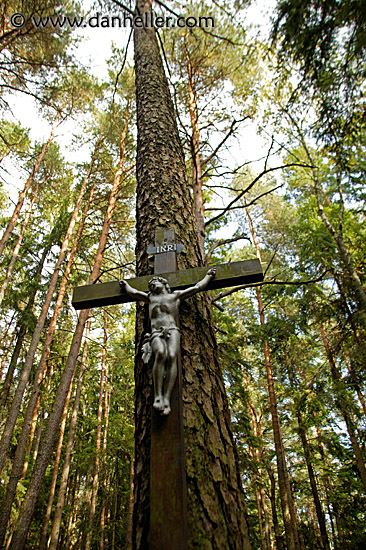 jesus-tree-2.jpg