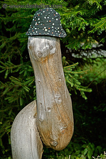 seal-tree-w-hat.jpg