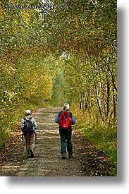 czech republic, europe, hikers, sumava, sumava forest, vertical, photograph
