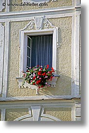czech republic, europe, flowery, telc, vertical, windows, photograph