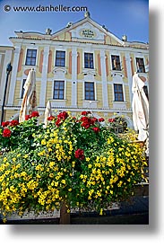 czech republic, europe, flowers, telc, vertical, photograph