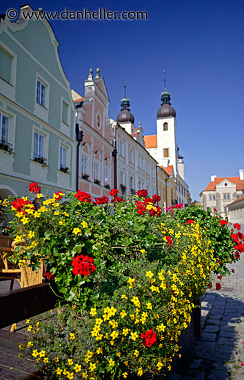 telc-flowers-2.jpg