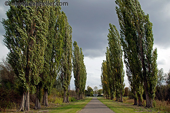 jewish-graves-4.jpg