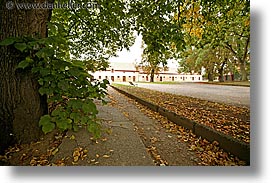 images/Europe/CzechRepublic/Terezin/tree-sidewalk-1.jpg
