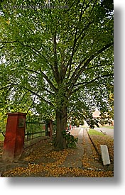 czech republic, europe, sidewalks, terezin, trees, vertical, photograph