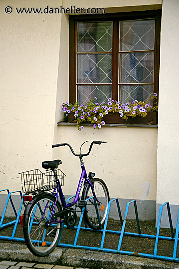 purple-bike-flowers.jpg
