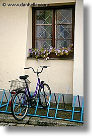 bicycles, czech republic, europe, flowers, purple, trebon, vertical, photograph