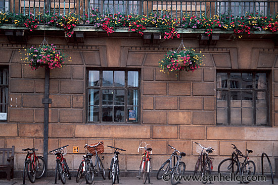 bicycles-11.jpg