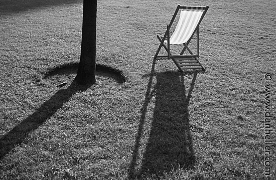 chair-tree.jpg