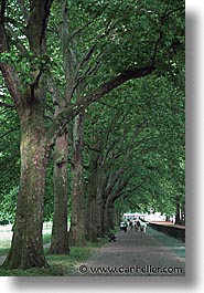 cities, england, english, europe, hyde, hyde park, london, park, trees, united kingdom, vertical, photograph