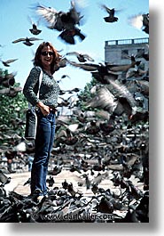 birds, cities, england, english, europe, london, pigeons, trafalgar, united kingdom, vertical, photograph