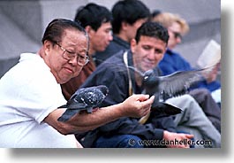 cities, england, english, europe, horizontal, london, pigeons, traf, trafalgar, united kingdom, photograph