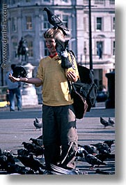 cities, england, english, europe, london, pigeons, traf, trafalgar, united kingdom, vertical, photograph