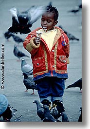 cities, england, english, europe, london, pigeons, traf, trafalgar, united kingdom, vertical, photograph