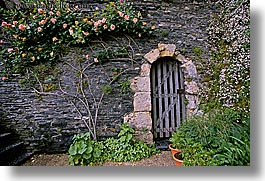 angers, doors, europe, flowers, france, horizontal, roses, photograph