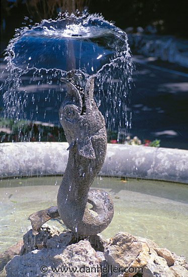fish-fountain.jpg