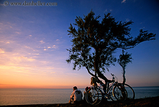 ile_de_re-sunset-n-bikes.jpg