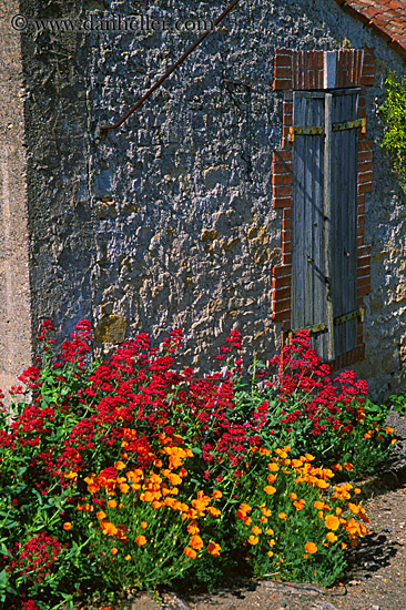 flowers-n-stone-wall.jpg