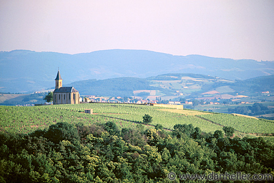 monts_dor-01.jpg