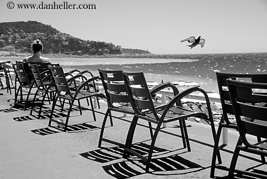 chairs-bird-sea-bw.jpg