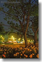 images/Europe/France/Paris/Buildings/flowers-n-trees-at-night.jpg