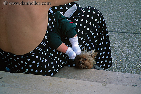 shitzu-dog-woman-n-baby-feet-1.jpg