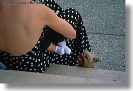 babies, dogs, emotions, europe, feet, france, horizontal, humor, paris, shitzu, womens, photograph