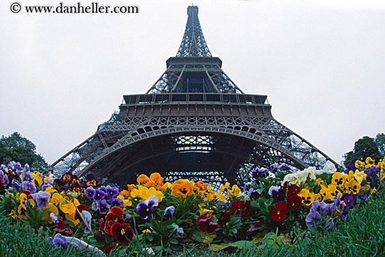 eiffel_tower-n-flowers-3.jpg