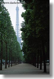 buildings, eiffel tower, europe, france, haze, hazy, paris, structures, towers, trees, vertical, photograph