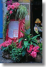 europe, flowers, france, paris, signs, vertical, photograph