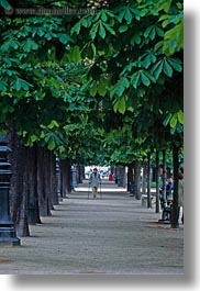 images/Europe/France/Paris/Flowers/tuilleries-tree-tunnel-walk-1.jpg