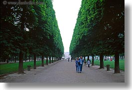 images/Europe/France/Paris/Flowers/tuilleries-tree-tunnel-walk-3.jpg