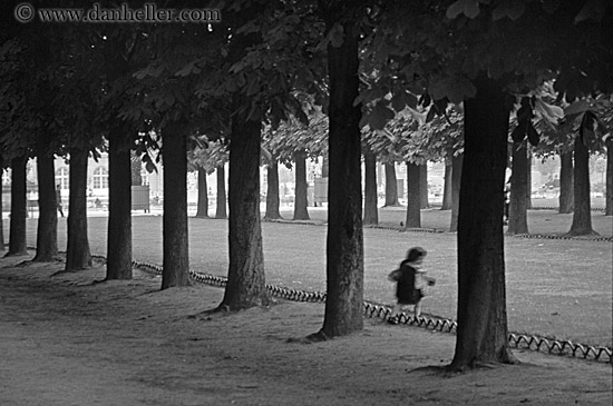 tuilleries-tree-tunnel-walk-bw-4.jpg