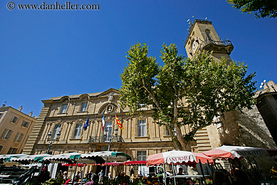 city_hall-n-tree-market.jpg
