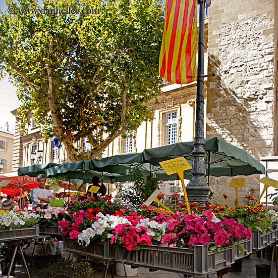 flowers-at-market.jpg