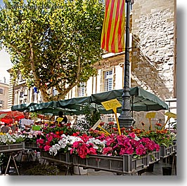 aix en provence, colorful, colors, europe, flags, flowers, france, market, nature, provence, square format, photograph