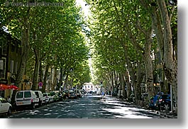 aix en provence, cours mirabeau, europe, france, horizontal, nature, plants, provence, streets, tree tunnel, trees, photograph