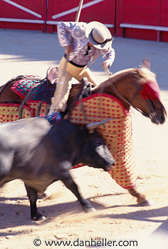 bullfight03.jpg