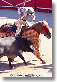 bullfight, europe, france, provence, vertical, photograph