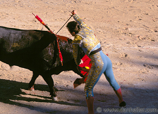 bullfight04.jpg