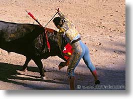 bullfight, europe, france, horizontal, provence, photograph