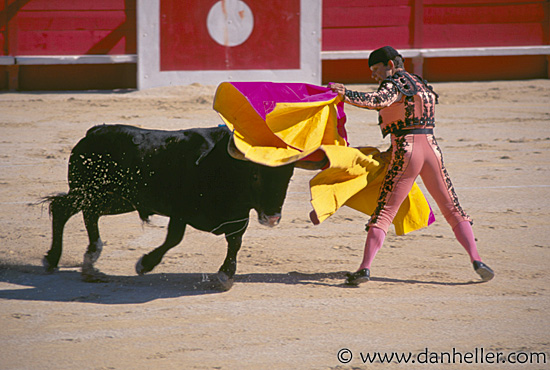 bullfight06.jpg