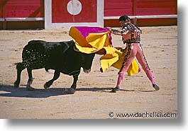 bullfight, europe, france, horizontal, provence, photograph