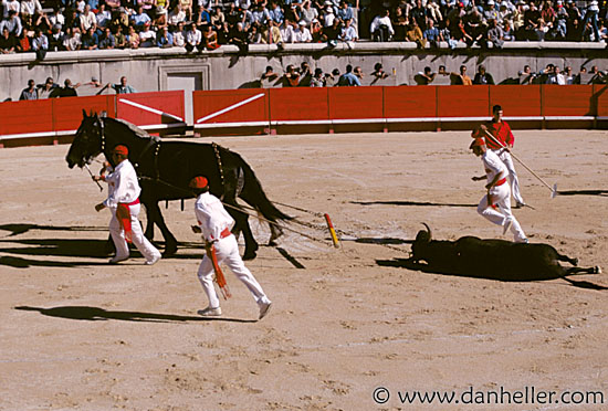 bullfight07.jpg