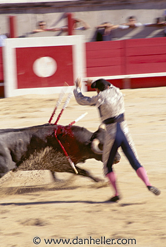 bullfight08.jpg
