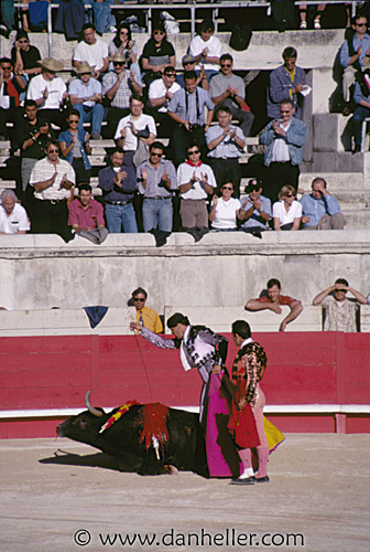 bullfight10.jpg