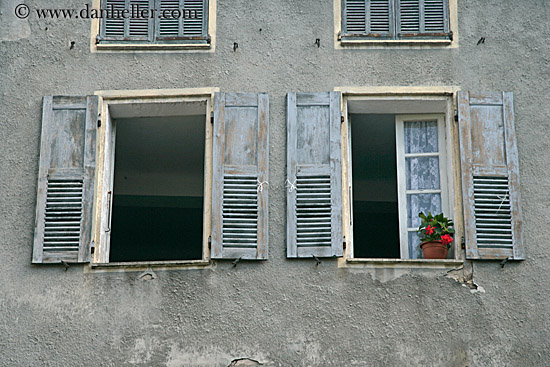 geraniums-in-window.jpg