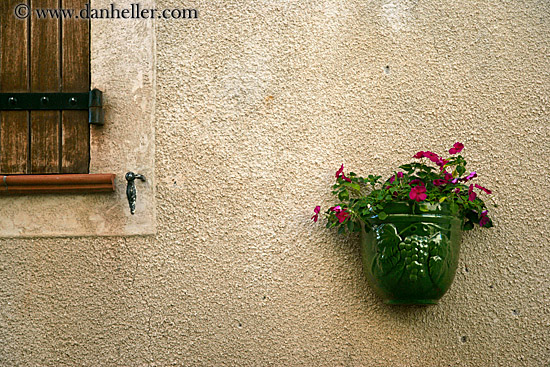 geraniums-on-wall-1.jpg