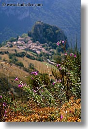 castellane, europe, flowers, france, provence, scenics, vertical, photograph
