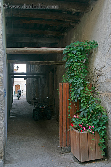 ivy-motorcycle-n-tunnel.jpg